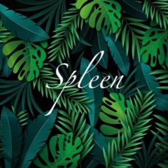 ElO - Spleen