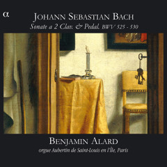 Sonata No. 3 in D Minor, BWV 527: II. Adagio e dolce