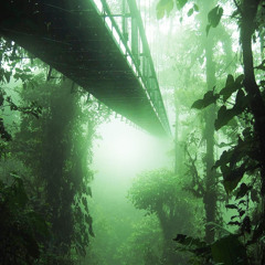 𝙟 𝙪 𝙣 𝙜 𝙡 𝙚 𝙘 𝙡 𝙤 𝙪 𝙙