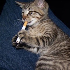 bad mood (prod ohemgitsjo)