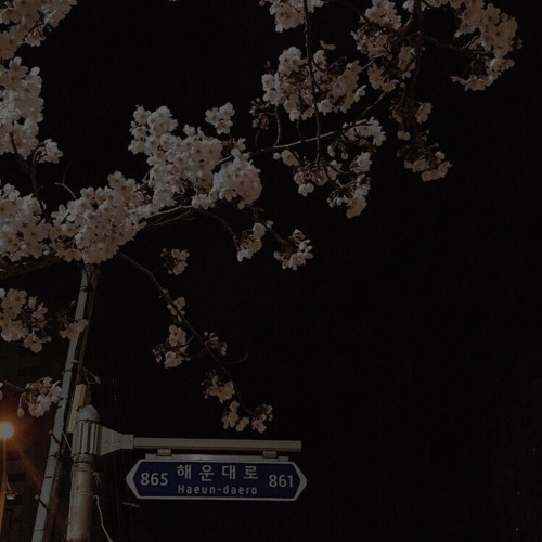 mafumafu - onnanoko ni naritai