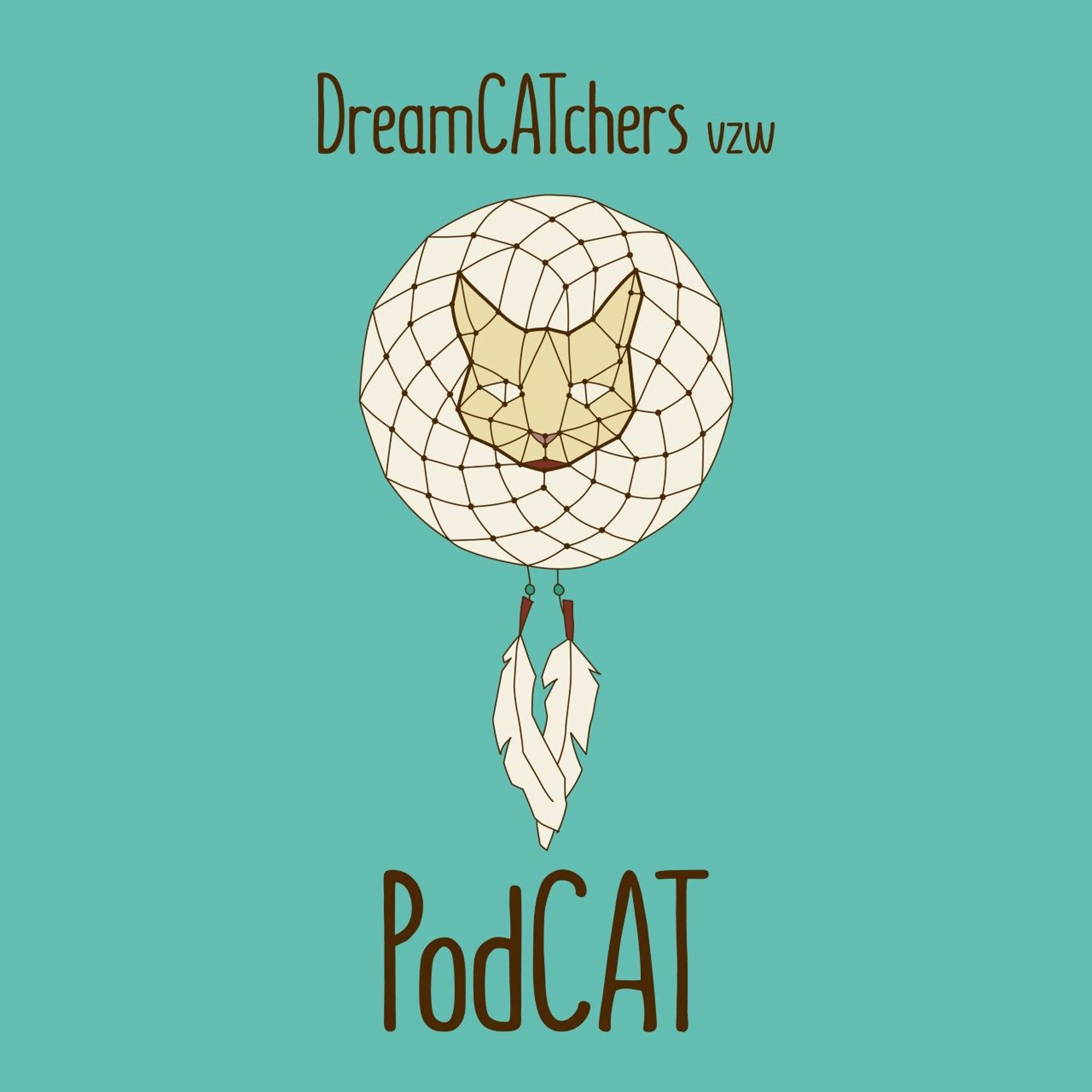 DreamCATchers' PodCAT Nieuwjaarsspecial 2022! episode artwork