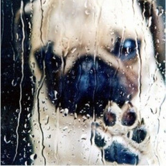 sleepmethods - wtfigo (prod luaa) *dj teer*