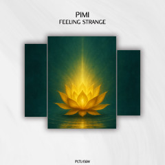 PIMI - Feeling Strange [PLTL456W]