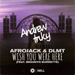 Afrojack & DLMT - Wish You Were Here ft. Brandyn Burnette (Andrew Triky Remix)