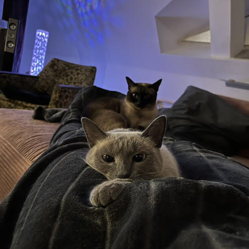 Come with me on a musical journey