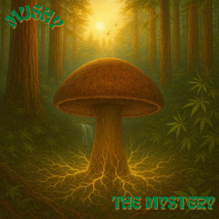 The Mystery