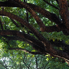 April 2025 Miami Mix