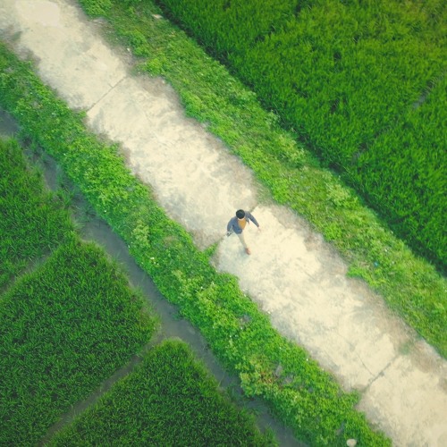 Em đứng trên cánh đồng - Lê Cát Trọng Lý | COVER. by Trịnh Gia Hưng