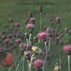 The Ecstasy Of Saint Theresa ‎– 1994
