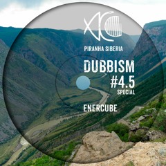 DUBBISM SPECIAL #4.5 ENERCUBE