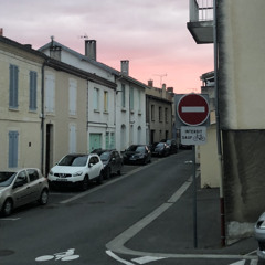 Les fleurs et le sud