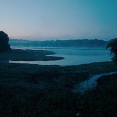 Douce symphonie matinale_Marais ORX Labenne_2025