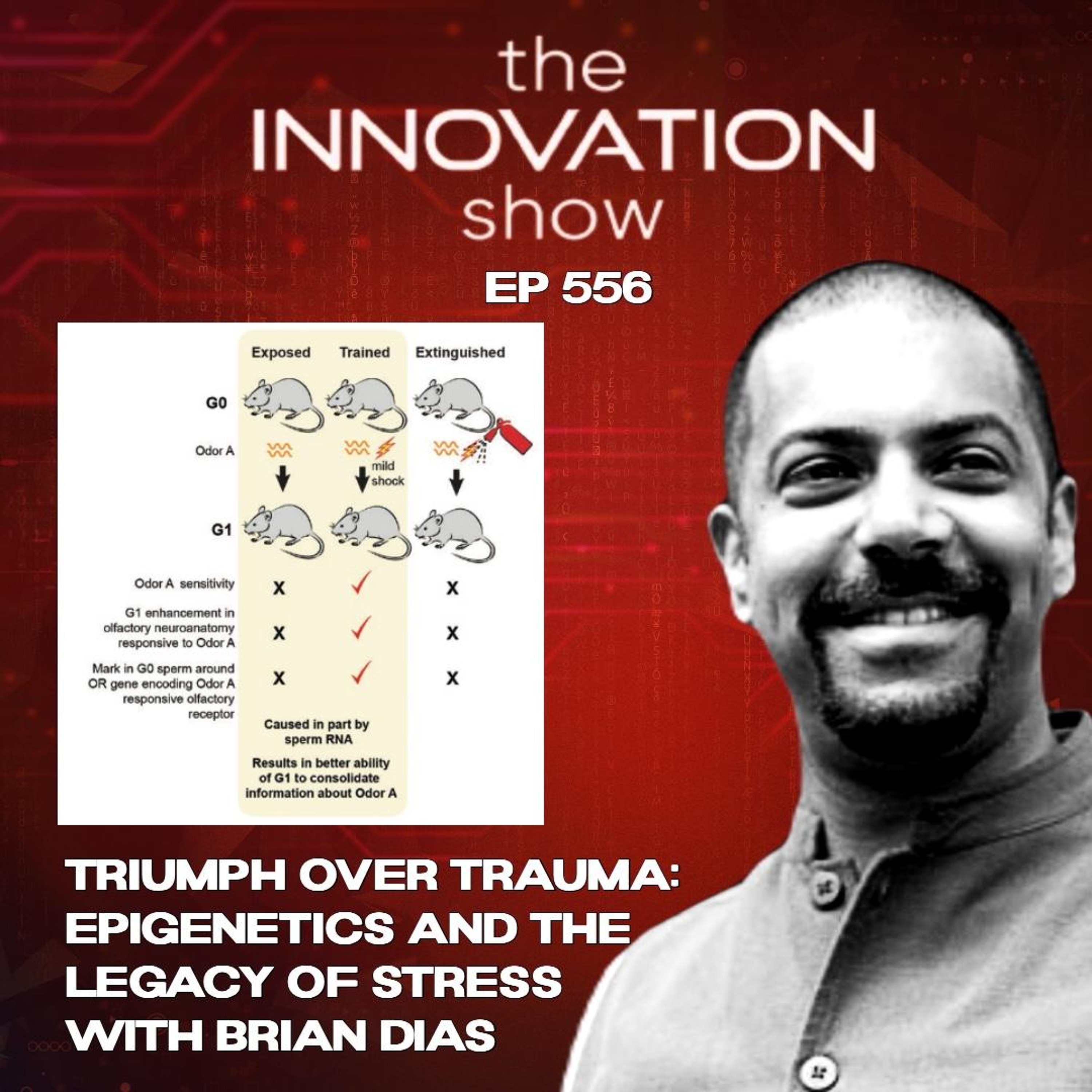The Innovation Show