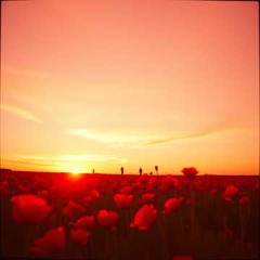 Pivovarov Prod х Daryna Samurai - Макове поле (NapalStudio Cover remix)