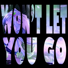 Won't Let You Go - S3RL ft Chi - Chi