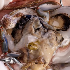 Dialektik Podcast #14 - Angel Rocket