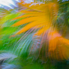 Alchemy Garden #4 - Atmospheric Jungle micro-Set