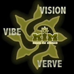 Vision Vibe Verve