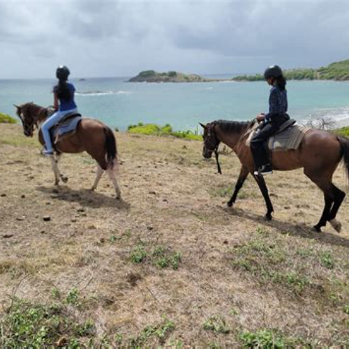 Review Special Price Private Beach Horseback Ride With Sandy Hoofs St Lucia