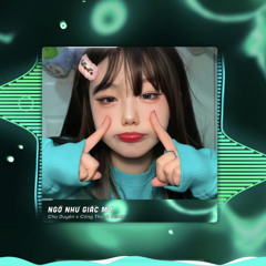 NGỠ NHƯ GIẤC MƠ  CHU DUYÊN  BroBear REMIX