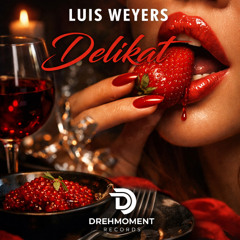 Delikat - Luis Weyers_Drehmoment Records.