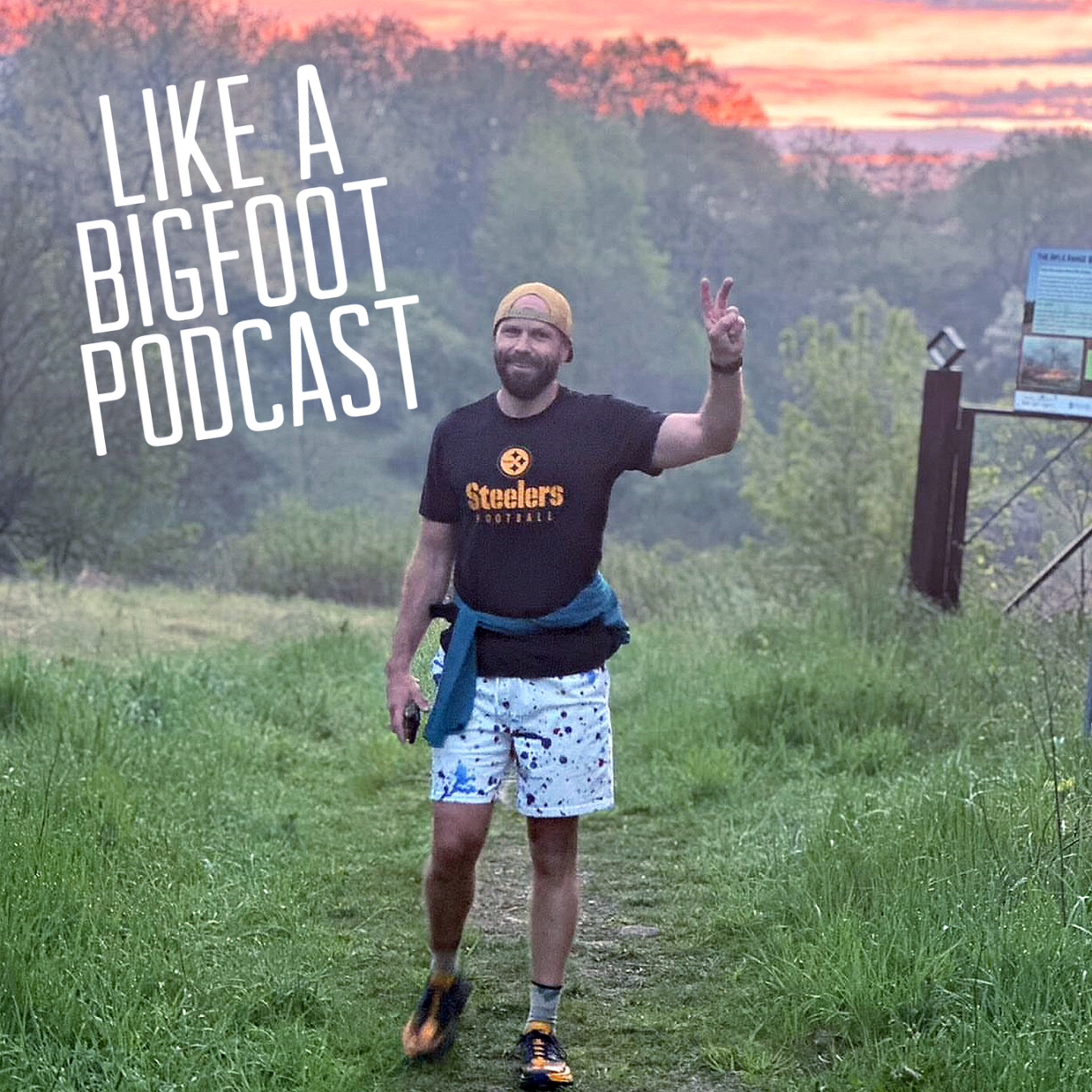 #387: Noel Thomson 2 -- Vulnerability, Mental Health, DNFs, and Managing Depression episode artwork