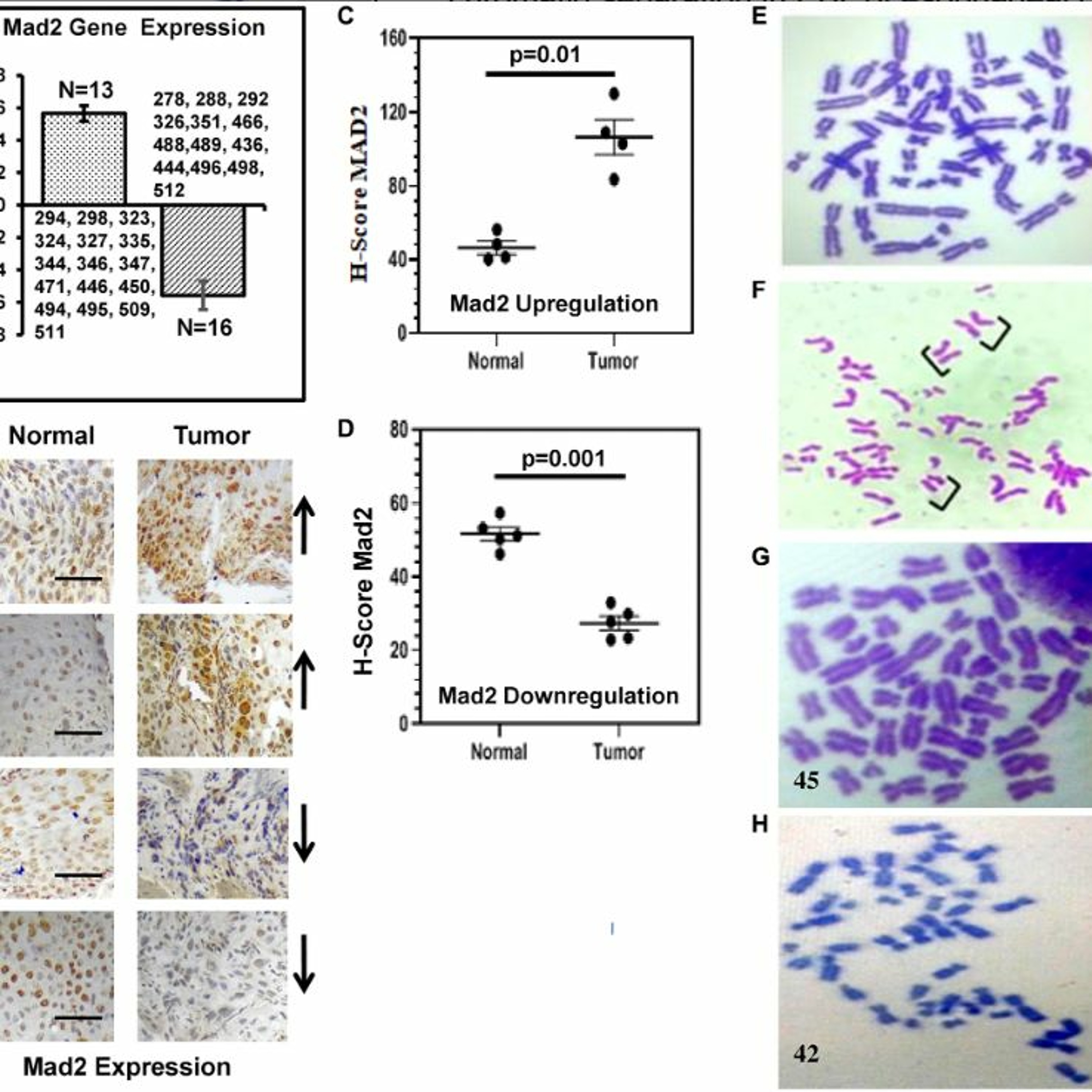 Oncotarget