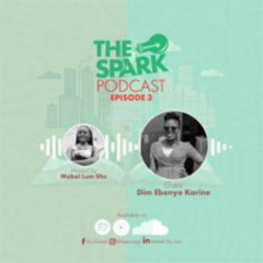 The Spark Episode 3