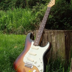 Jungle Gardenia - Cover Version of Mike Oldfield
