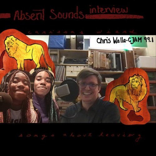 Interview w/ Chris Walla on Carissa's Wierd