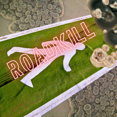 ROADKILL - demo