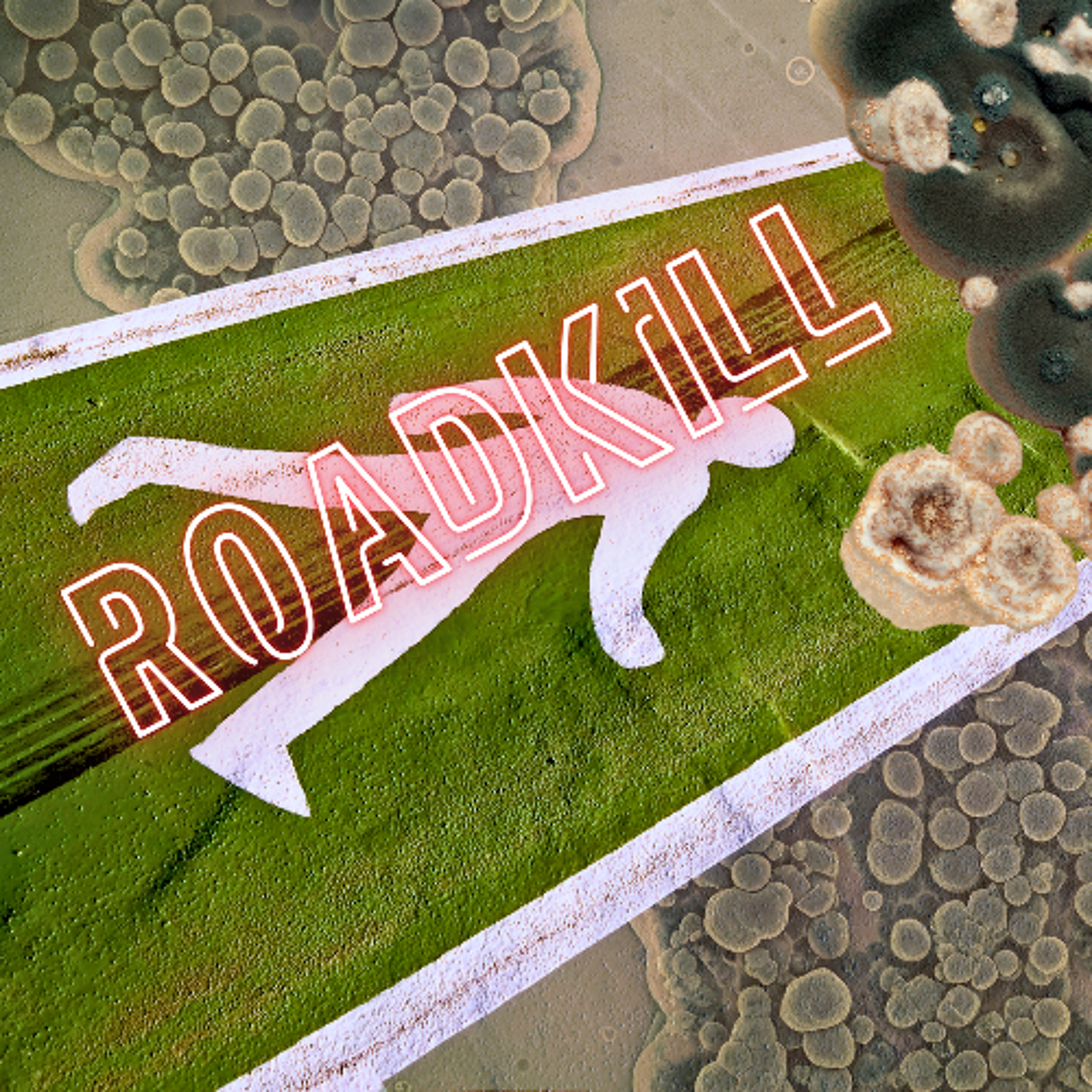 ROADKILL - demo episode artwork