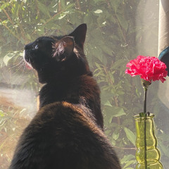 Summer Sweet(rough version)