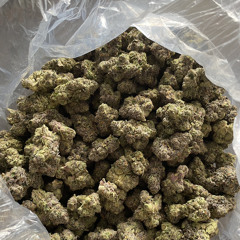 Getmoneynevadyin