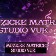 MUZICKE MATRICE STUDIO VUK - INDIRA RADIC - DVE MUZIKE
