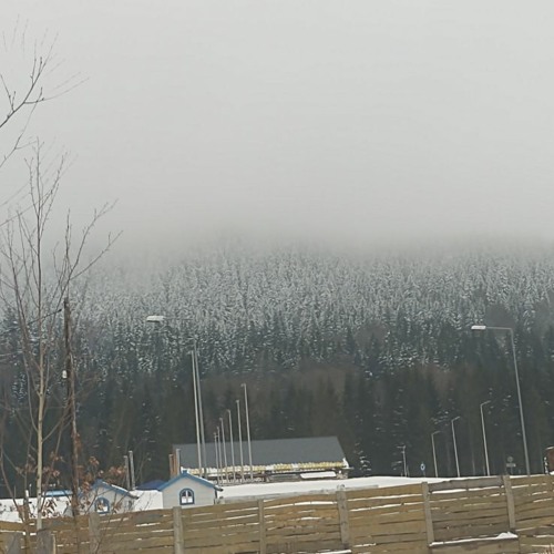 Cannot Feel At All (merchferch)