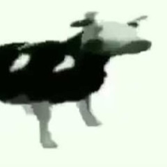 Polish Cow