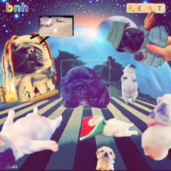 pibble beats