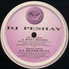 DJ Peshay - Represent