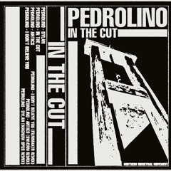 PREMIERE: Pedrolino - Antics (swærm Remix) [N.I.M Tapes]