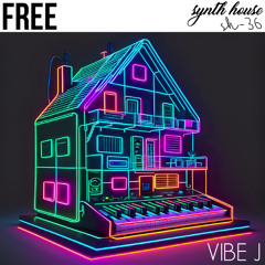 VIBE J - free [Synth House Records]