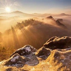 The Top
