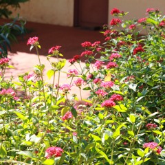 20.04.2021  - Cap. V - Bem Aventurados os Aflitos - Causas Anteriores das Aflições (8)