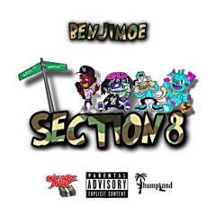 section 8