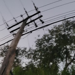 SourRootsGrowSourApples