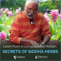 Shreem Brzee Mantra