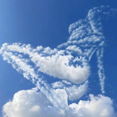 Space ( prod.docent)