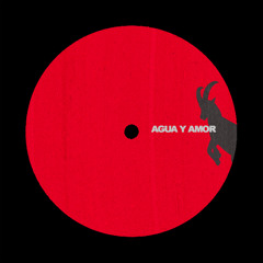 PMNS - Agua y Amor