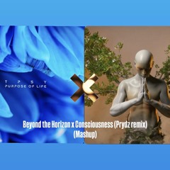 Beyond the Horizon x Consciousness (Prydz Remix) (Mashup)